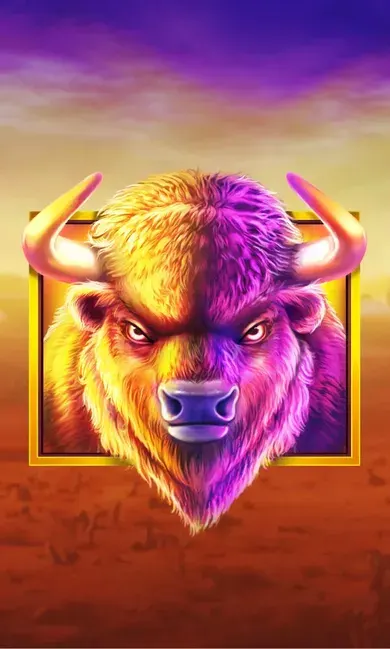 Buffalo King